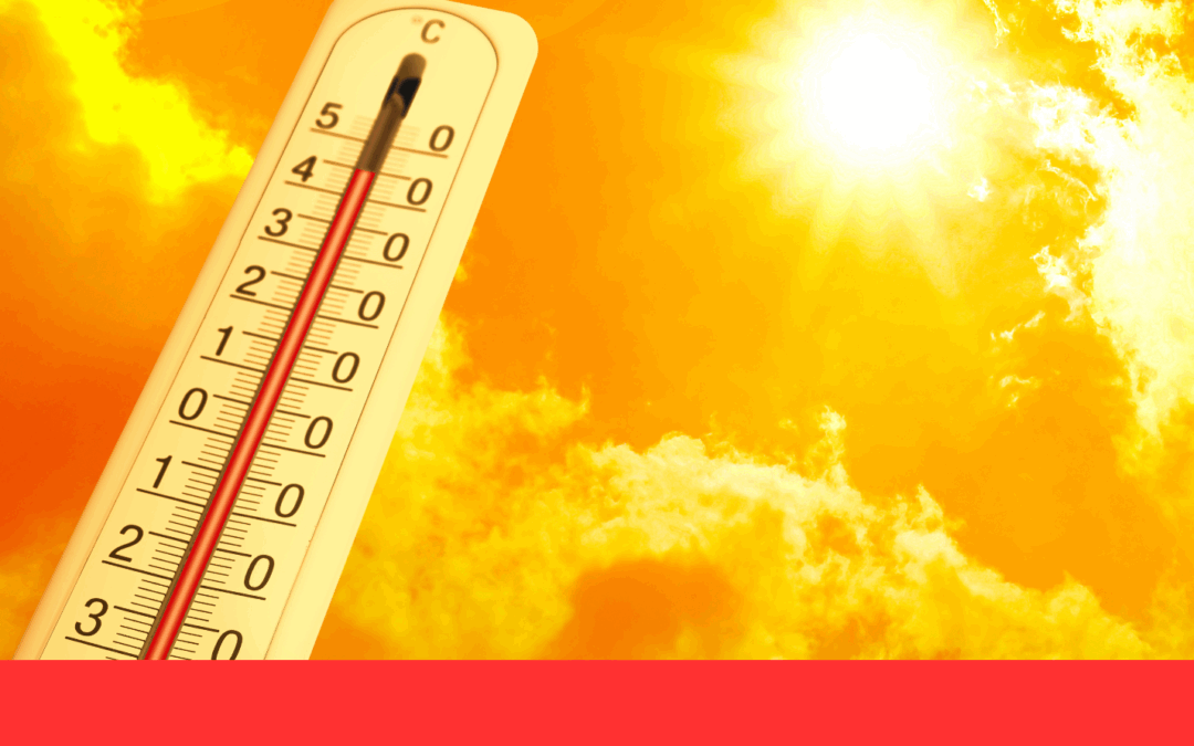 Point info ☀ Canicule 🌡